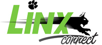 Linx Connect Logo